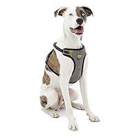 Algopix Similar Product 16 - Kurgo Impact Dog Car Harness Crash