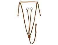 Algopix Similar Product 14 - Silver Fox Running Breastplate