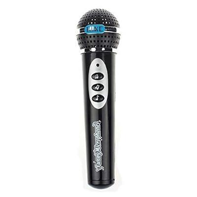 NEW VTech Sing It Out Karaoke Microphone With Wireless