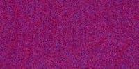 Algopix Similar Product 16 - Kunin K450K30BJ0N 36 Wide Rainbow