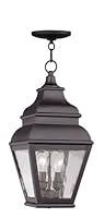 Algopix Similar Product 19 - Livex Lighting 260407 Exeter 2Light