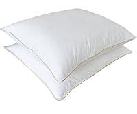 Algopix Similar Product 19 - Natural Comfort Jasper Premium Two