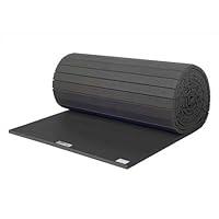 Algopix Similar Product 16 - EZ Flex Sport Mats 1393097 42 ft x 42