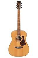 Algopix Similar Product 17 - Bodhi BG10S Solid Spruce Top Concert