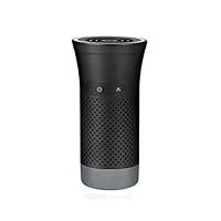Algopix Similar Product 11 - Wynd  Personal Air Purifier  Mini Air