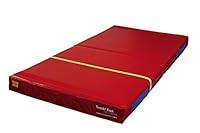 Algopix Similar Product 12 - Tumbl Trak Folding Practice Mat 5ft x