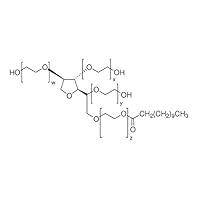Algopix Similar Product 12 - Bioworld  420300161 bioWORLD Tween 20