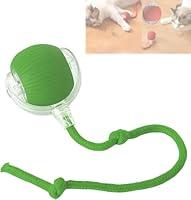 Algopix Similar Product 13 - Interactive Cat Toys Rolling Ball