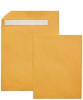 Algopix Similar Product 8 - Amazon Basics Catalog Mailing
