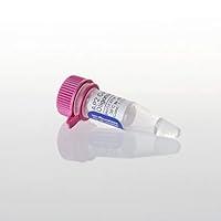 Algopix Similar Product 19 - AP2 Consensus Oligonucleotide, 175pmol