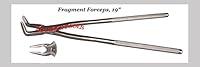 Algopix Similar Product 15 - 19 Equine Fragment ForcepsHand