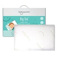 Algopix Similar Product 10 - Baby Works  Toddler Pillow With