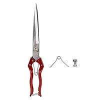 Algopix Similar Product 11 - Sheep Wool Shears 340mm Manual Sheep