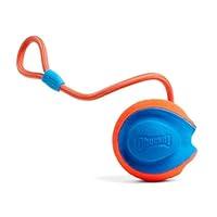 Algopix Similar Product 12 - Chuckit Rope Fetch Dog Toy  Ball on