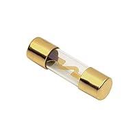 Algopix Similar Product 15 - Raptor RAGU605 60 Amp Agu Fuses Gold 5Pk