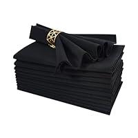 Algopix Similar Product 1 - Cloth Napkins Set of 2 Washable Dinner