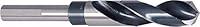 Algopix Similar Product 1 - PROJAHN 495210 drill bit HSSG reduced
