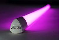 Algopix Similar Product 8 - TOGGLED E416G1310 4 ft GROSeries