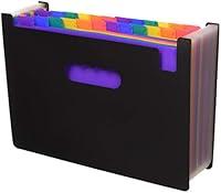 Algopix Similar Product 3 - 24 Pockets Expanding Files Folder A4