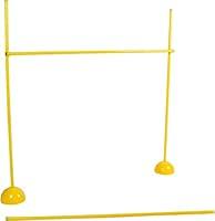 Algopix Similar Product 17 - Trademark Innovations Agility Soccer