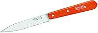 Algopix Similar Product 18 - Opinel Serrated Knife No.113 (Tangerine)