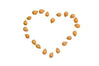 Algopix Similar Product 13 - Apricot Kernels 2 Pounds  908 grams