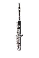 Algopix Similar Product 4 - Ravel Piccolo, Black (PICRGP202)