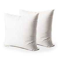 Algopix Similar Product 13 - EDOW Throw Pillow Insert Set of 2 Down
