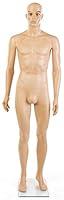 Algopix Similar Product 12 - Displays2go Plastic Male Mannequin with