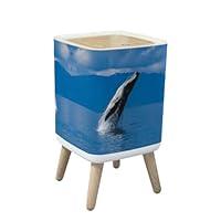 Algopix Similar Product 5 - PHAIBHKERP Trash Can with Lid Humpback