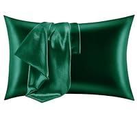 Algopix Similar Product 14 - CozyLux Silk Satin Pillowcase for Hair