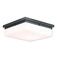 Algopix Similar Product 18 - Livex Lighting 6553892 Transitional