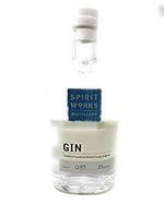 Algopix Similar Product 9 - SPIRIT WORKS DISTILLERY Works
