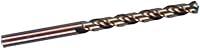 Algopix Similar Product 19 - Projahn 125110 Spiral Drill Bit HSSCo