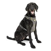 Algopix Similar Product 13 - Kurgo Car Safety Dog Harness Crash
