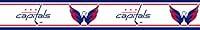 Algopix Similar Product 12 - NHL Washington Capitals SelfStick