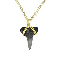 Algopix Similar Product 10 - Real Gold Filled Shark Tooth Dainty