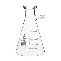 Algopix Similar Product 12 - Filtering Flask 250mL  Borosilicate