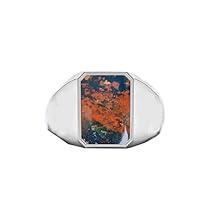 Algopix Similar Product 13 - Natural Bloodstone Mens Signet Ring