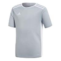 Algopix Similar Product 2 - adidas Boys Entrada 18 Jersey Light