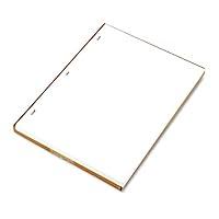 Algopix Similar Product 4 - WLJ90310  Wilson Jones Ledger Sheets