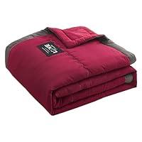 Algopix Similar Product 11 - Summer Cooler Quilt for Hot Sleepers