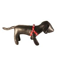 Algopix Similar Product 7 - NCAA Collegiate Dog Harness