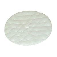 Algopix Similar Product 16 - ProTeam 101220 High Filtration Discs