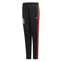 Algopix Similar Product 13 - adidas 20182019 Spain Presentation