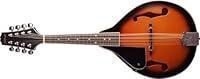 Algopix Similar Product 1 - Stagg M20 LeftHanded 8String
