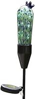Algopix Similar Product 15 - Coloriscape Firefly Solar Cactus