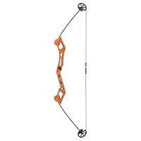 Algopix Similar Product 8 - Bear Archery Valiant Bow Set for Youth