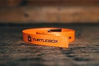 Algopix Similar Product 18 - Turtlebox TieDown Strap Kit  Set of