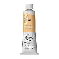 Algopix Similar Product 10 - Holbein Duo Watersoluble Oil Colors 